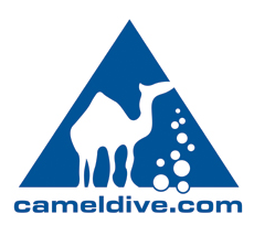 Camel Dive Club